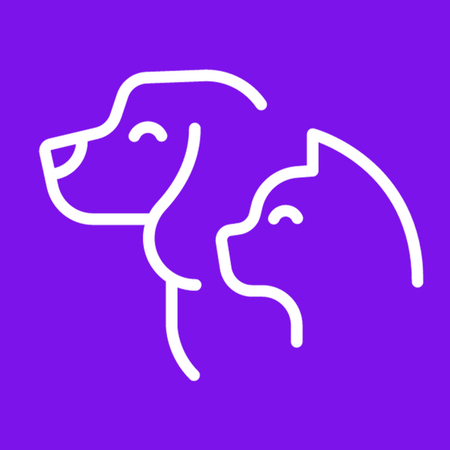 Pets